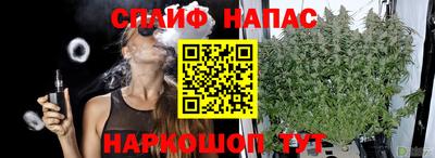 Альфа ПВП Новокубанск