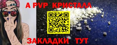 стаф Новозыбков