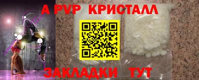 стаф Новозыбков